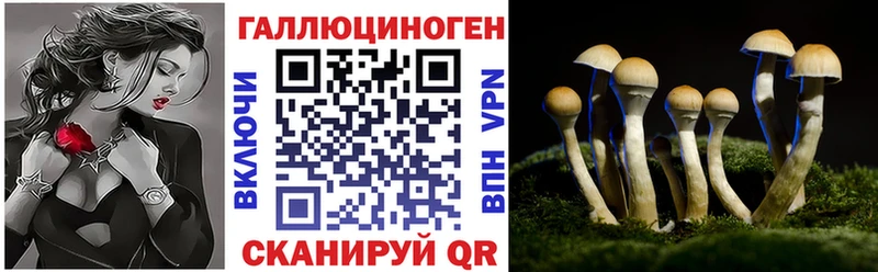 Галлюциногенные грибы Psilocybine cubensis  продажа наркотиков  mega как войти  даркнет как зайти  Шиханы 